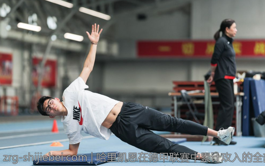 哈里凯恩在德甲联赛中累计攻入的全部进球