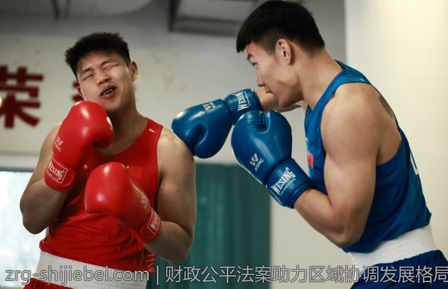 财政公平法案助力区域协调发展格局优化