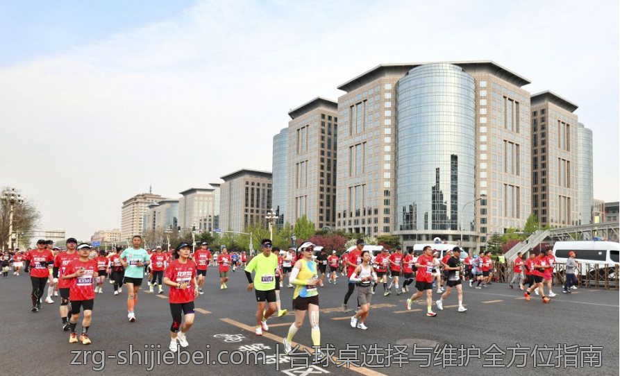 台球桌选择与维护全方位指南